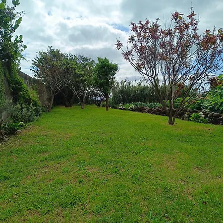 Holiday home Casa Dos Narizes