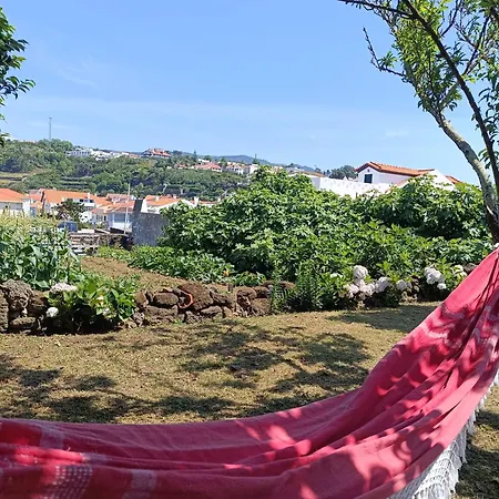 Casa Dos Narizes
