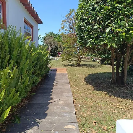 Holiday home Casa Dos Narizes *